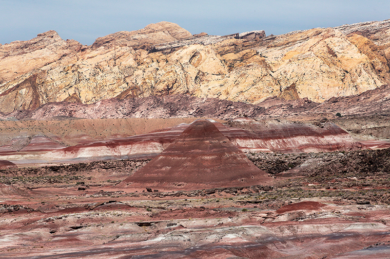 Bison : Antelope Island : Utah : Landscape Photos : Richard Moore : Photographer